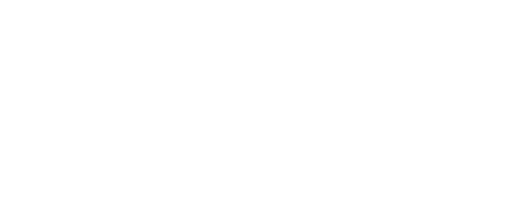 BrickPricer Logo